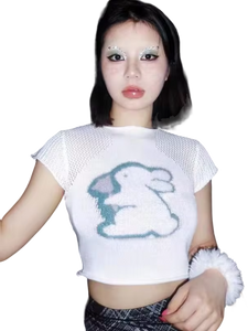 'Fantasy' Plush Knit Crop Top