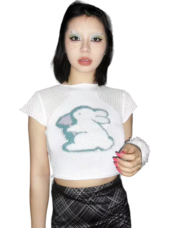 'Fantasy' Plush Knit Crop Top